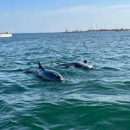 4 Person In Thyboron-by Traum Lejlighed Thyborøn