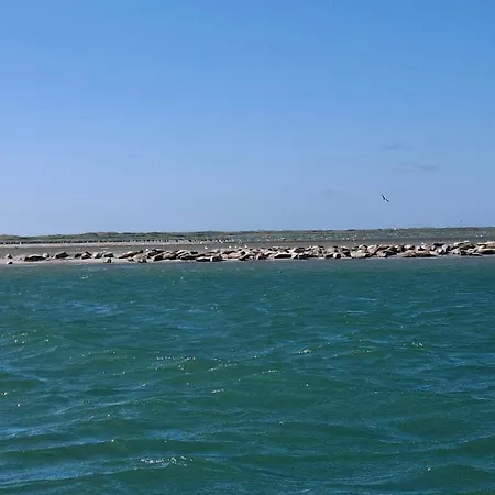 4 Person In Thyboron-by Traum * Thyborøn